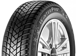 GT CHAMPIRO WINTERPRO 2