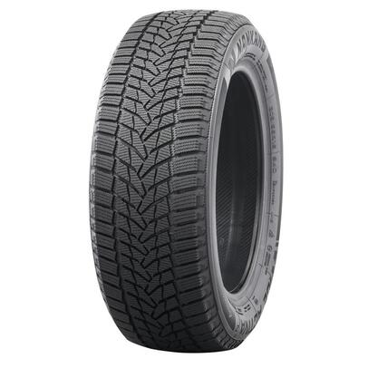 Nankang ICE-2 XL 225/50 R18