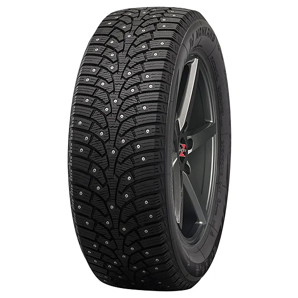 nankang-sw-9-iceactiva-grip2-suv.jpg